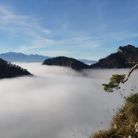 Nad Potokiem * Grywald