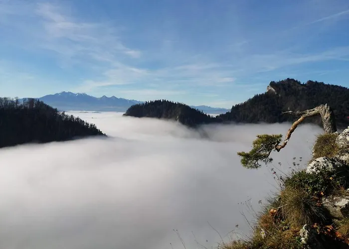 Nad Potokiem * Grywald